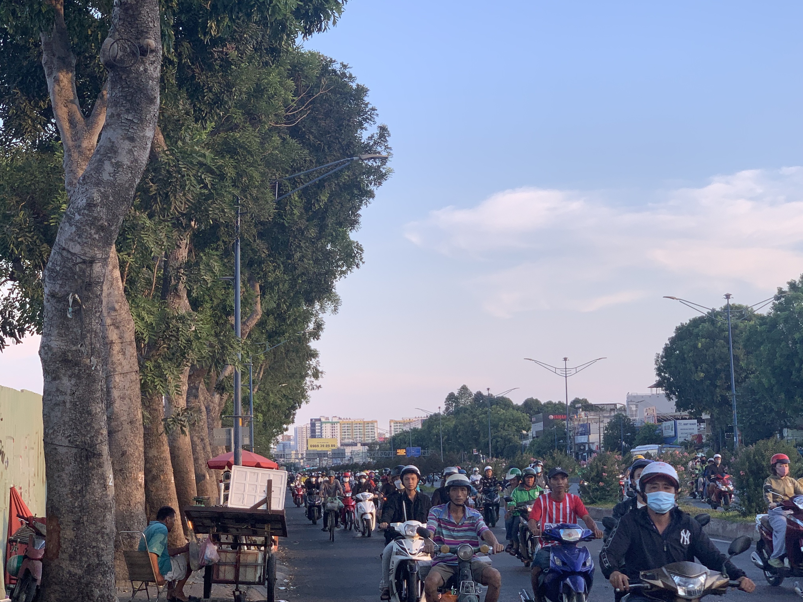 TP.HCM có trồng lại cây xanh sau khi chặt hơn 400 cây làm tuyến metro số 2?- Ảnh 1. TP.HCM có trồng lại cây xanh sau khi chặt hơn 400 cây làm tuyến metro số 2?- Ảnh 1.