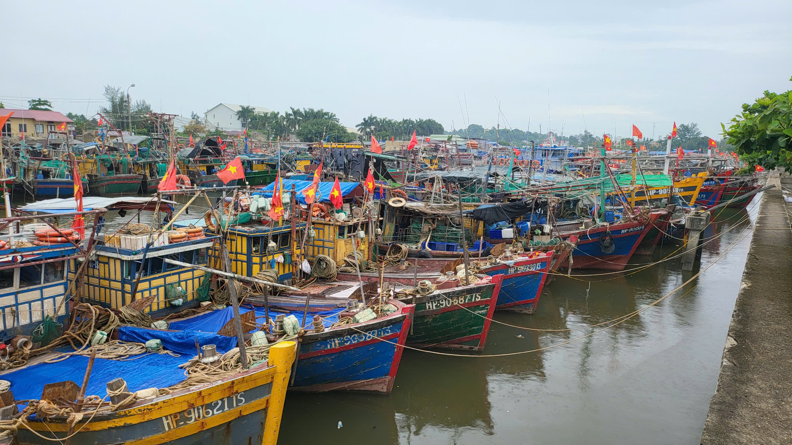 Tàu cá Hải Phòng vươn khơi trở lại, giá hải sản tươi sống tăng gấp đôi- Ảnh 1. Tàu cá Hải Phòng vươn khơi trở lại, giá hải sản tươi sống tăng gấp đôi- Ảnh 1.